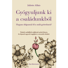  Gyógyuljunk ki a családunkból - Hogyan dolgozzuk fel a múlt gyötrelmeit? egyéb könyv