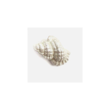  Gyöngyházas polyresin kagyló, mérete: kb. 40 mm dekorációs kellék
