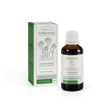  Györgytea Echinaceás 50ml alkoholos kivonat vitamin és táplálékkiegészítő
