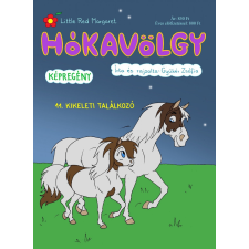 Gyükér Zsófia ev. Hókavölgy 11. - Kikeleti Találkozó gyermek- és ifjúsági könyv