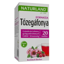  gyümölcstea tőzegáfonyával és echinaceával 20db tea