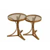  Hanah Home Nesting Table (2 Pieces) Walnut Lyon 2 - Walnut