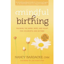 Harper Collins Publishers Mindful Birthing | Nancy Bardacke egyéb könyv