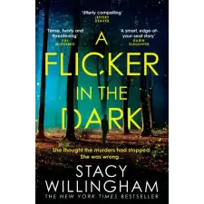 HarperCollins Publishers Flicker in the Dark | Stacy Willingham egyéb könyv