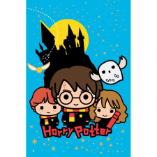 Harry Potter Chibi Wizards polár takaró 100x150cm lakástextília