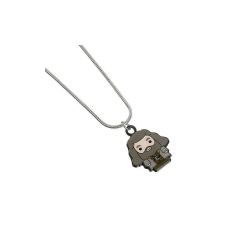 Harry Potter - Hagrid medál nyaklánc, ezüstözött medál