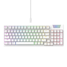 HAVIT KB885L gamer billentyűzet RGB (fehér) billentyűzet