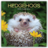  Hedgehogs - Igel 2026 - 16-Monatskalender (Kalendář/Diář)