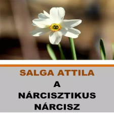 HELMA A nárcisztikus Nárcisz egyéb e-könyv
