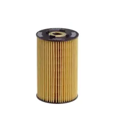 HENGST FILTER olajszűrő E134H D06 autóalkatrész