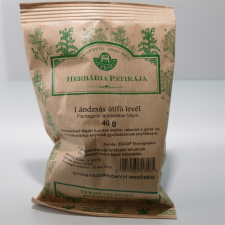  Herbária lándzsás útifűlevél tea 40 g gyógytea