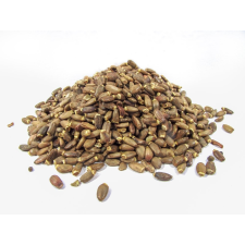 Herbicum Máriatövis mag 1000g gyógytea