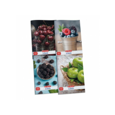 Herlitz Fruit 32 lapos A4 kockás füzet - Többféle (09092560) füzet