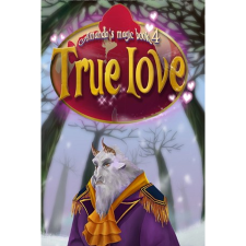HH-Games Amanda's Magic Book 4: True Love (PC - Steam elektronikus játék licensz) videójáték
