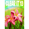 HH-Games ClearIt 13 (PC - Steam elektronikus játék licensz)