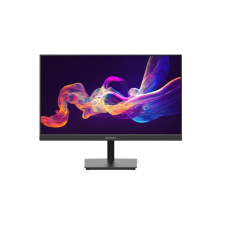Hikvision DS-D5024F2-AP2 monitor