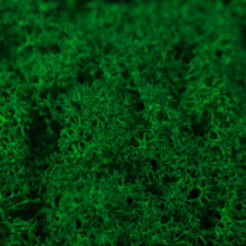 Hobbibázis Izlandi zuzmó 40g/csomag sötétzöld dekorációs kellék