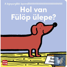 Hol van Fülöp ülepe? gyermek- és ifjúsági könyv