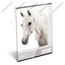  Horse/fehér Lovas A4 kockás füzet füzet