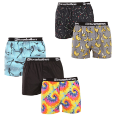 HORSEFEATHERS 5PACK Férfi bő szárú boxeralsók Horsefeathers Frazier Bundle 1 (AM287A) L