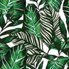  House plants bútorfólia öntapadós tapéta 67,5cmx2m tapéta, díszléc és más dekoráció