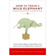  How To Train A Wild Elephant – Jan Chozen Bays idegen nyelvű könyv
