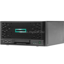 HP ProLiant MicroServer G10 Plus | Intel Pentium Gold Dual-Core G5420 3,8 | 32GB DDR4_ECC | 1x 250GB SSD | 1x 8000GB HDD szerver