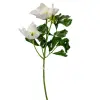  Hunyor ág 2v. M34cm 96db/#