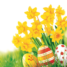  Húsvét Bunch of Daffodils szalvéta 20 db-os 25x25 cm party kellék