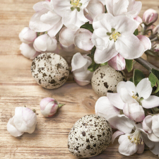 Húsvét Quail Eggs szalvéta 20 db-os 33x33 cm papírárú, csomagoló és tárolóeszköz