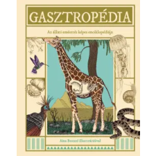HVG Könyvek Gasztropédia gyermek- és ifjúsági könyv