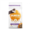  Iams Cat Kitten csirke macskatáp 2kg