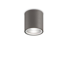 IDEAL LUX Gun antracit kültéri mennyezeti lámpa (IDE-236865) GU10 1 izzós IP44 kültéri világítás