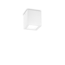 IDEAL LUX Techo fehér kültéri mennyezeti lámpa (IDE-251561) GU10 1 izzós IP54 kültéri világítás