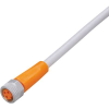 ifm Electronic EVW069 Csatlakozóvezeték Alj, egyenes 5 m Pólusszám: 3 1 db (EVW069)