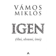 IGEN regény