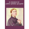  Il Diario Di Santa Gemma Galgani: Esperienza Della Passione Insieme Con Ges? (19 Luglio - 3 Settembre 1900) – Santa Gemma Galgani