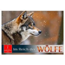  Im Reich der Wölfe (Wandkalender 2026 DIN A4 quer), CALVENDO Monatskalender naptár, kalendárium