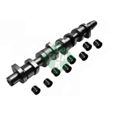 INA vezérműtengely készlet INA 428 0039 30 autóalkatrész