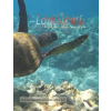 Independently Published Lomilomi | Leaman H.H.P. Coryn K. Mano Leaman H.H.P.