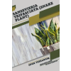 Independently Published Sansevieria trifasciata (Snake Plant) | Tetiana Sabanen