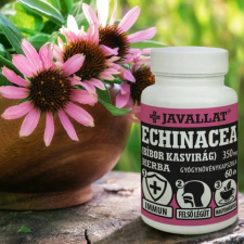 Indikáció Kft. ECHINACEA (BÍBOR KASVIRÁG) HERBA 60db-os kapszula vitamin és táplálékkiegészítő