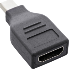 Inline 17196D csatlakozó átlakító DisplayPort mini DisplayPort Fekete (17196D) kábel és adapter