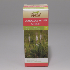  Innopharm herbal lándzsás útifű szirup echinacea+c-vitamin 150 ml gyógyhatású készítmény