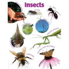  Insects természet- és alkalmazott tudomány