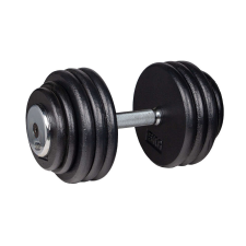 Insportline Kézisúlyzó inSPORTline 40 kg kézisúlyzó