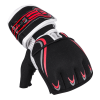 Insportline MMA és workout kesztyű inSPORTline Tigerpaw XL