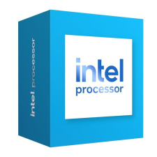Intel 300 3.9GHz 6MB LGA1700 BOX processzor