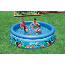 Intex Aquarium körmedence 305 x 76 cm (28124) medence