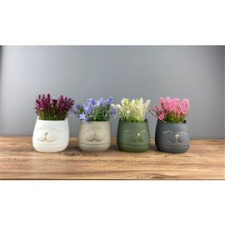 IRIS E5767 macskafej dekoráció művirággal cserépben 9x14cm (IRIS_E5767) dekorációs kellék